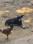 IMG_6876