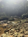 IMG_6881
