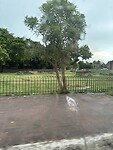 IMG_6892
