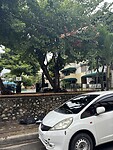 IMG_6920
