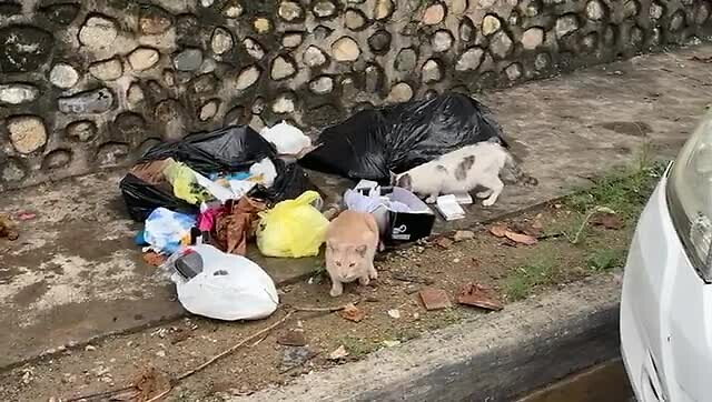 Santo Domingo