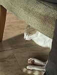 IMG_7082