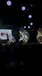 IMG_7192