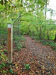 Kloosterbos