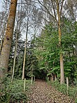 Kloosterbos