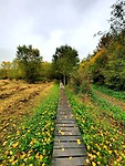 Vlonderpad - Middenloop Zwalm