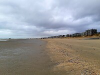 Zandstrand De Panne