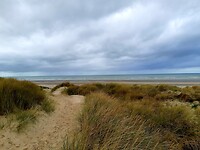 Dune du Perroquet