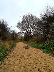 20201123_203407