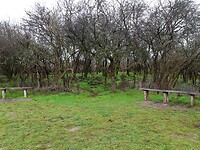 20201123_203323