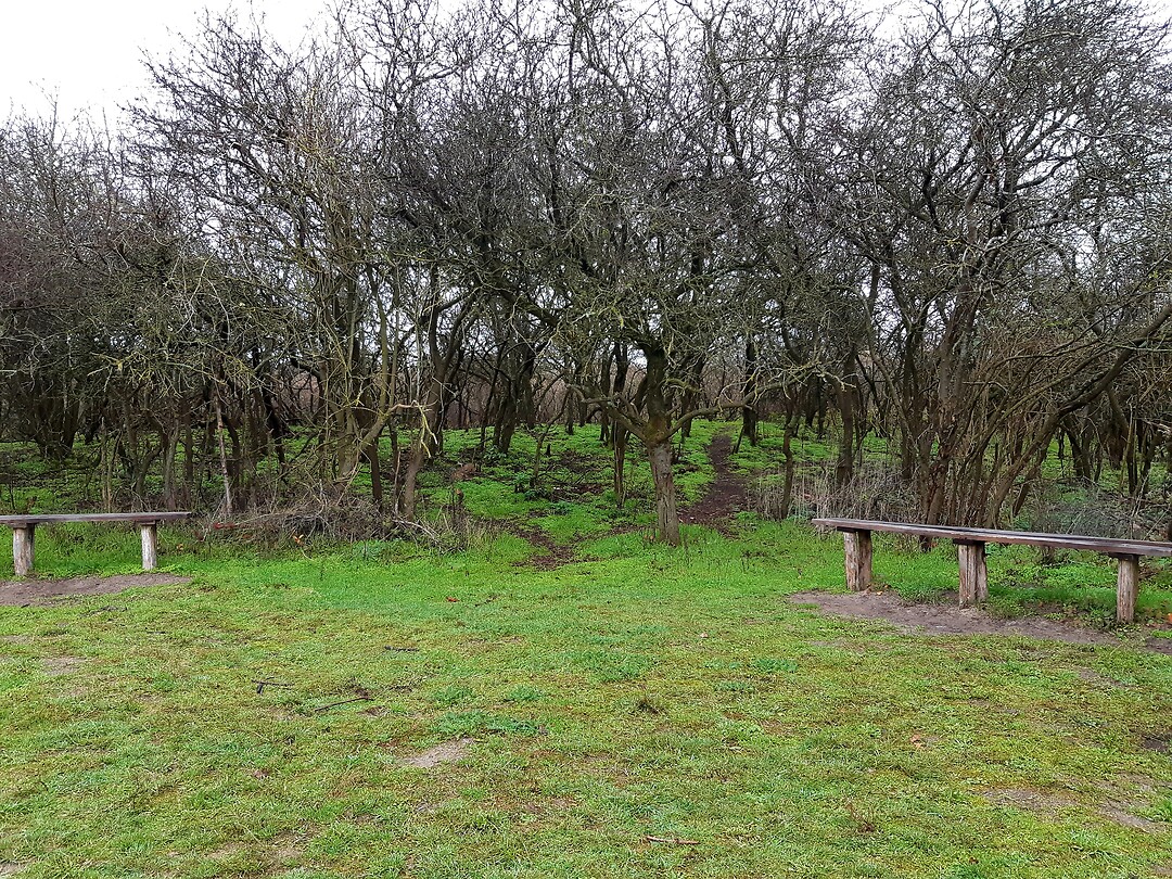 20201123_203323