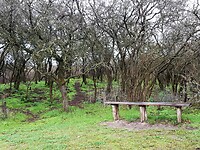 20201123_203236