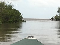 De atlantische oceaan