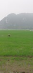 Vietnam week 2