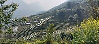 Vietnam week 2