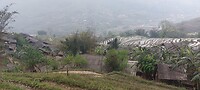 Vietnam week 2