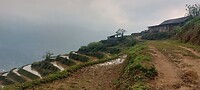 Vietnam week 2