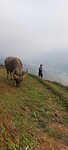 Vietnam week 2