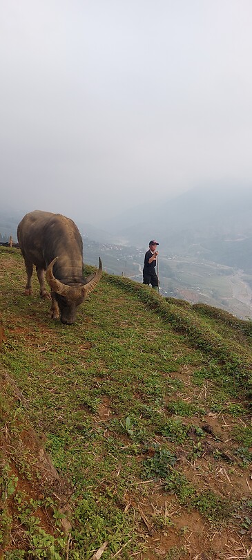 Vietnam week 2