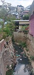 Vietnam week 4