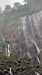 Indonesië; oost-java