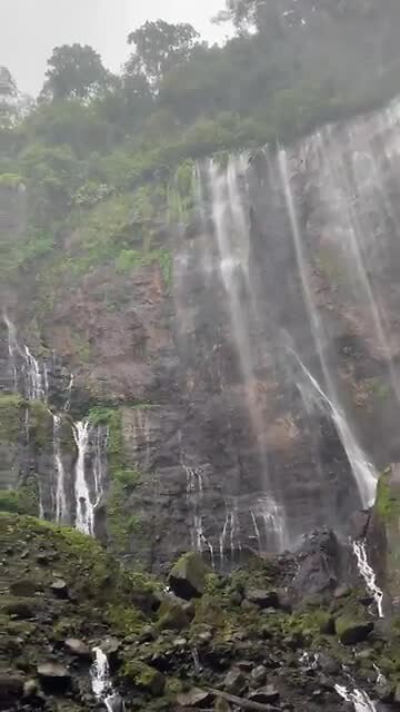 Indonesië; oost-java
