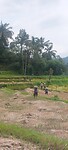 Indonesië 2.0
