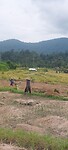 Indonesië 2.0
