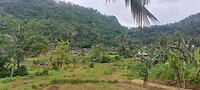 Indonesië 2.0
