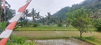 Indonesië 2.0