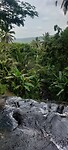 Indonesië 2.0