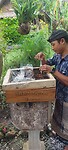 Indonesië 2.0