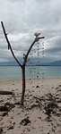 Indonesië 2.0