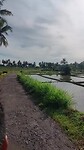 Indonesië 2.0