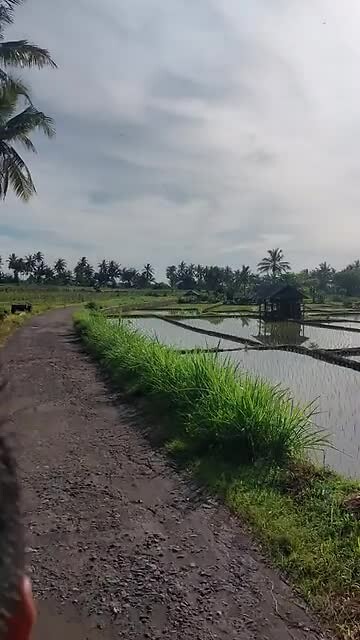 Indonesië 2.0