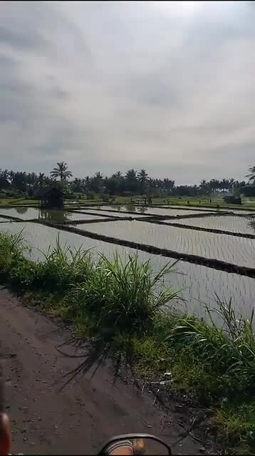 Indonesië 2.0