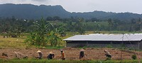 Indonesia 2.0