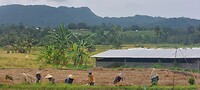 Indonesia 2.0