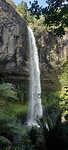 New-Zealand 2.0