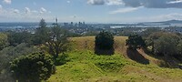 New-Zealand 2.0