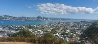 New-Zealand 2.0