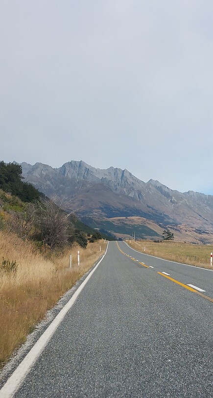 New-Zealand 2.0