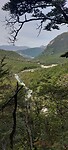 New-Zealand 2.0
