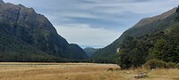 New-Zealand 2.0