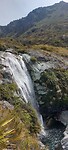 New-Zealand 2.0