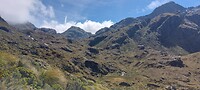 New-Zealand 2.0