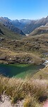 New-Zealand 2.0