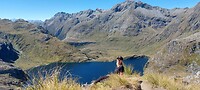 New-Zealand 2.0