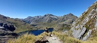 New-Zealand 2.0