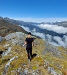 New-Zealand 2.0